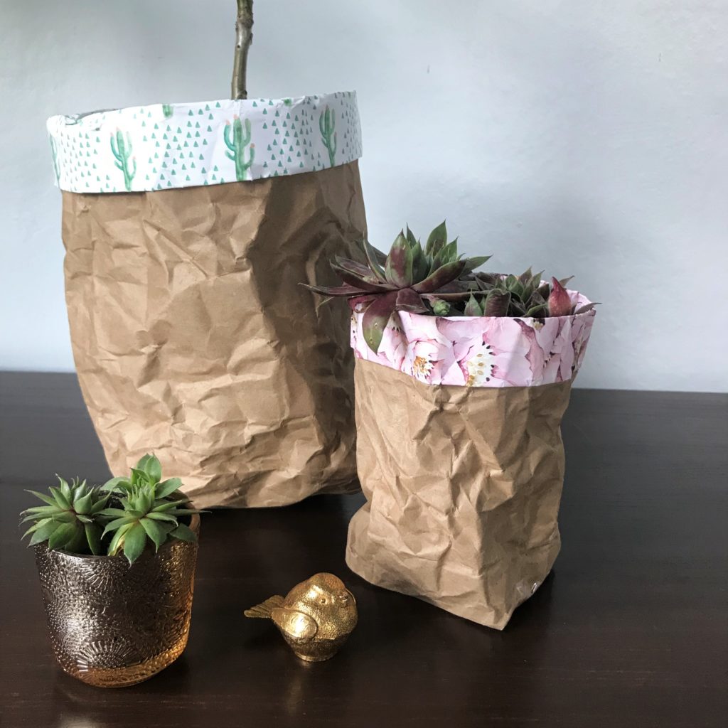 Diy Paper Bag Planters • Sage To Silver